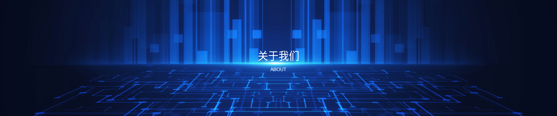 宁波智蓝物联科技有限公司
